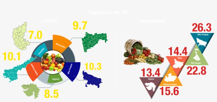 Top 5 Fruits & Vegetables Producing States - Complete Vegetable And Herb Collection Of More Than, transparent png