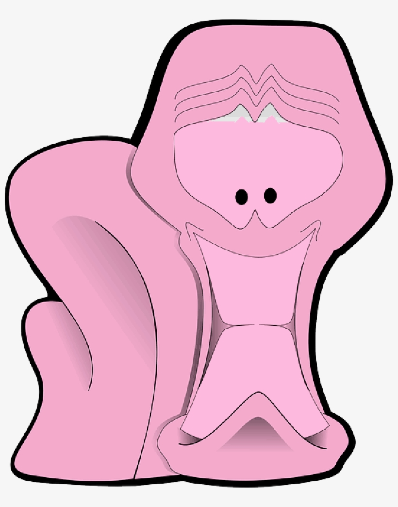 Mb Image/png - Nervous System, transparent png