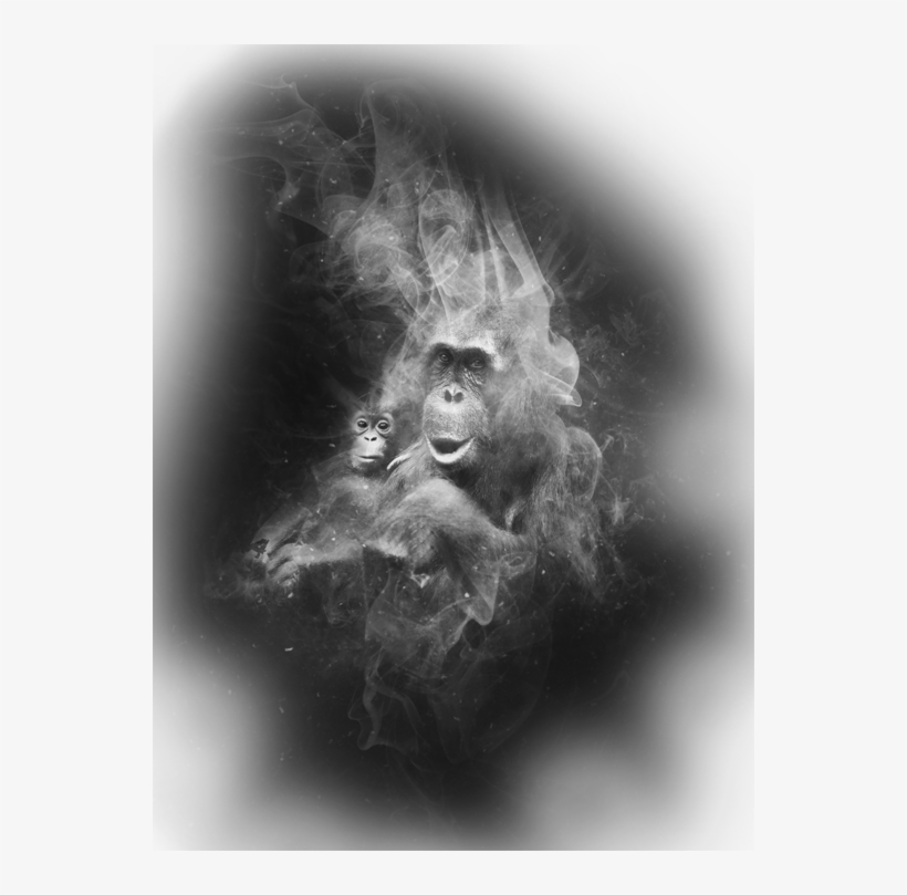 Upinsmoke3 - Grammar School, transparent png