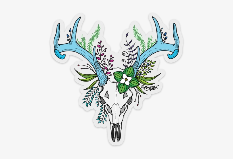 Sitka Black-tailed Deer Skull With Blue Antlers, transparent png