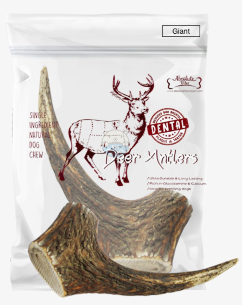 Absolute Bites Whole Deer Antlers Dental Chew - Absolute Bites Whole Deer, transparent png