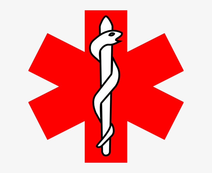 Red Cross Clipart Paramedic - Red Cross With Snake, transparent png