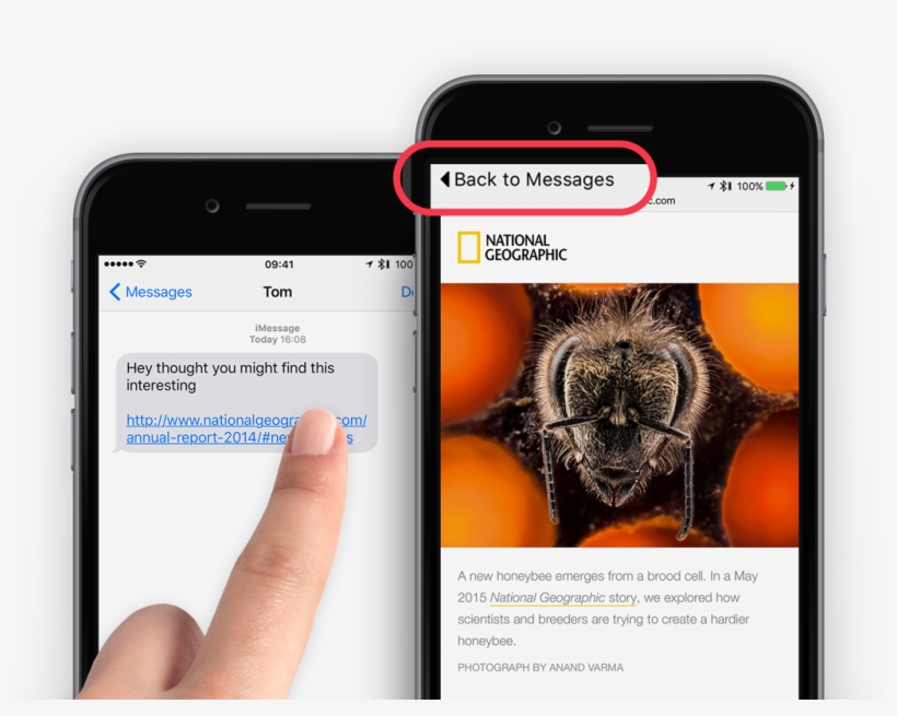 Tap To Return To The Previous App - Poster: Varma's A New Honeybee Emerges, transparent png