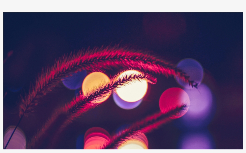 Score 50% - Night Light Bokeh, transparent png