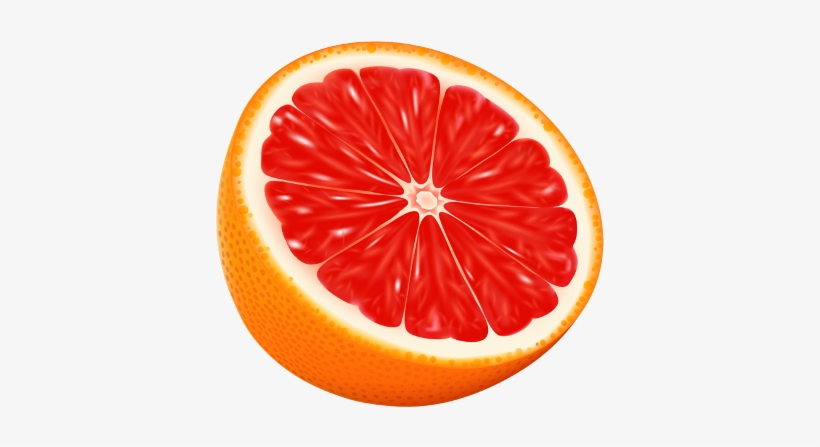 Blood Orange Vector - 480x480 PNG Download - PNGkit