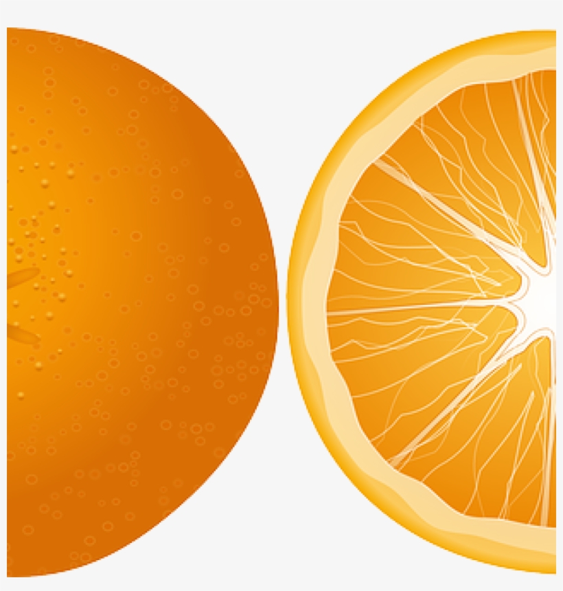 Orange - Half Orange Transparent, transparent png