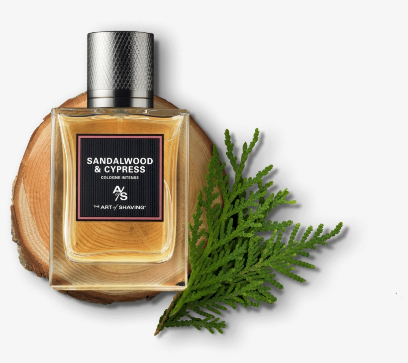 Sandalwood Cypress Visual - Art Of Shaving Cologne, transparent png