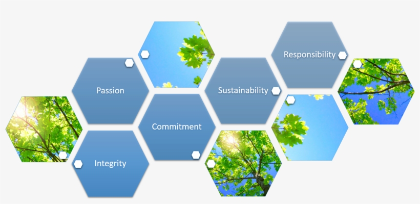 About - Behavioral Profiling In Games, transparent png