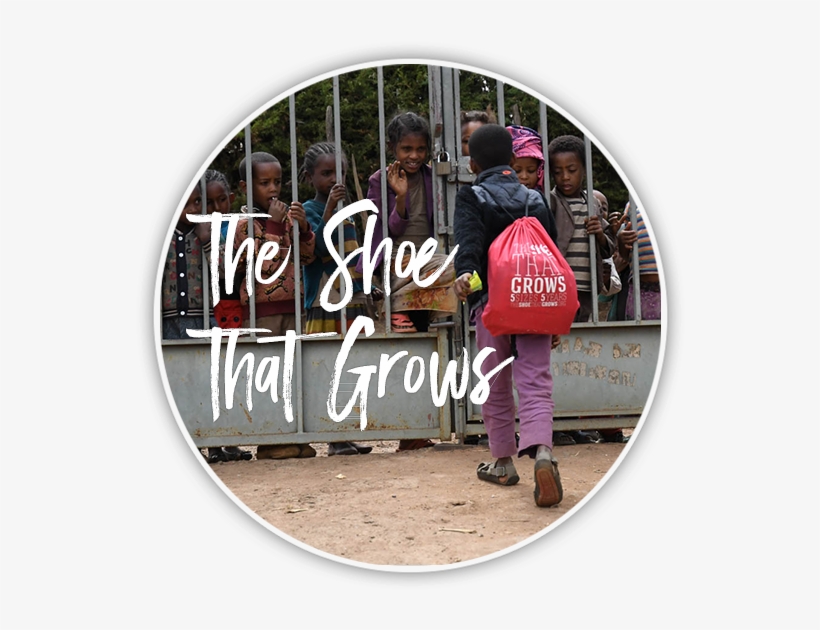 The Shoe That Grows - Toddler, transparent png