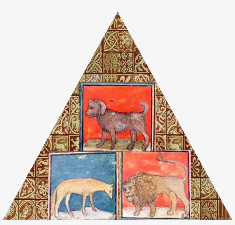 Chapter Text - Indian Elephant, transparent png