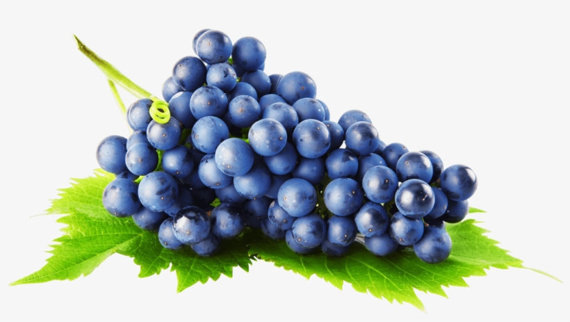 Black Grapes Png Image Background - Png Grapes, transparent png