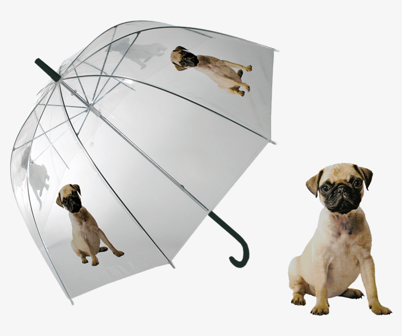 Details About Umbrella Pug Dog Clear Transparent Dome - Detský Priehľadný Dáždnik, transparent png