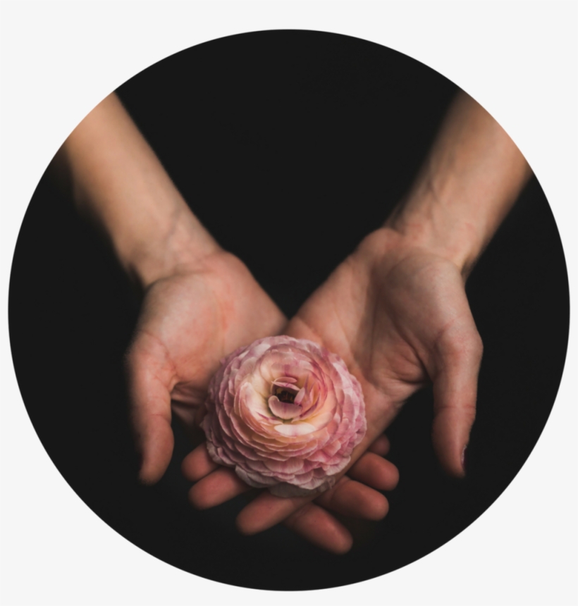 Hands, transparent png