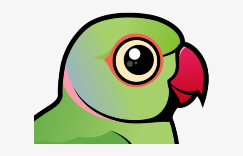 Rose-ringed Parakeet, transparent png