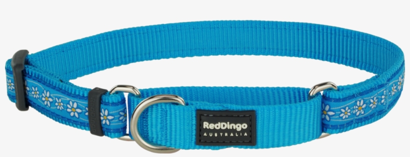 Martingale Daisy Chain Turquoise Designer Dog Collar - Belt, transparent png