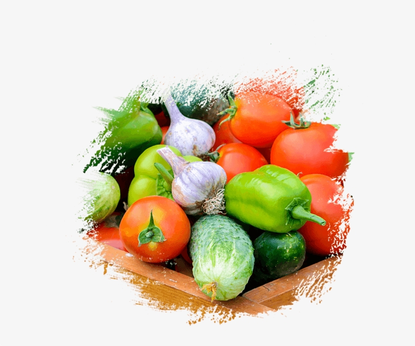 Fresh Fruit & Vegetables Supplier, Distributors In - Farm, transparent png