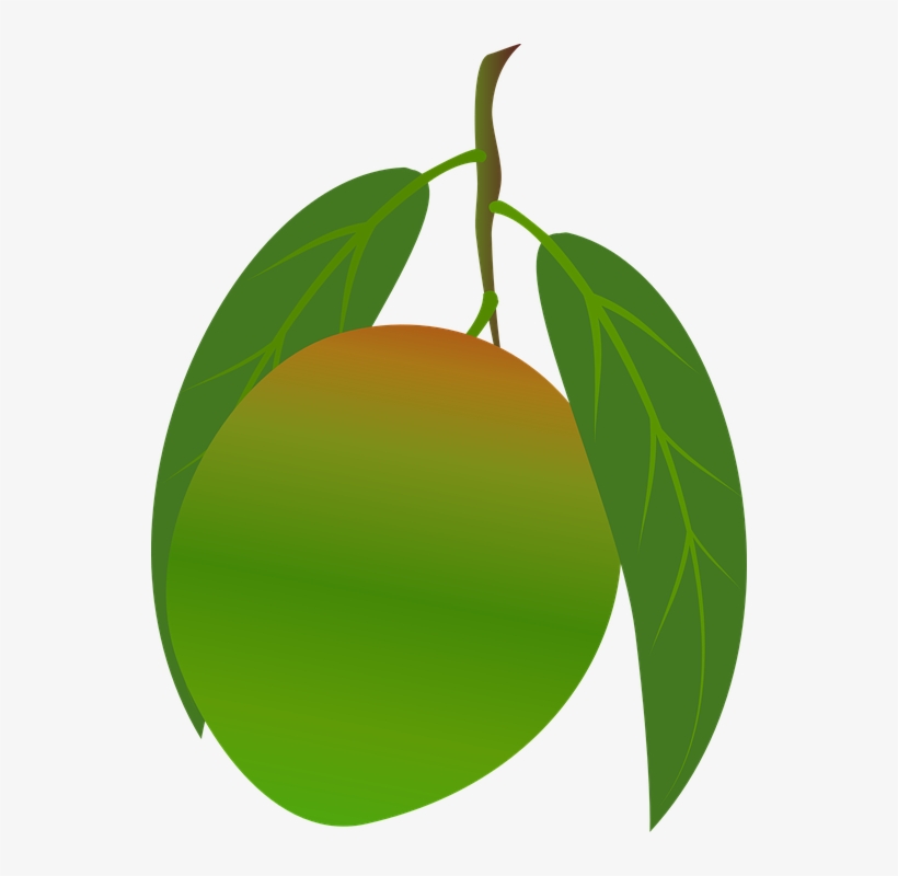 Mango Clipart Food - มะม่วง Png, transparent png
