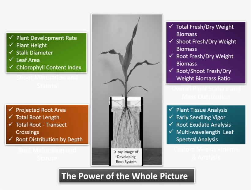 The Power Of The Whole Picture - Trophy, transparent png