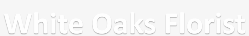 Darkness, transparent png