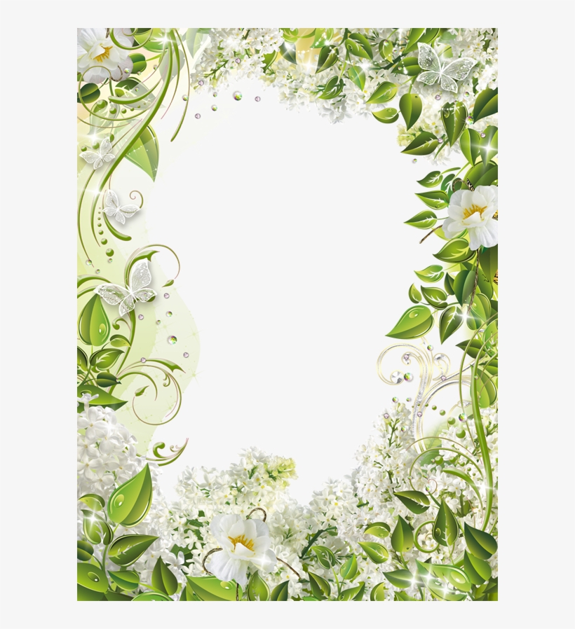 R16 07 Mar 2015 - Lily Family, transparent png