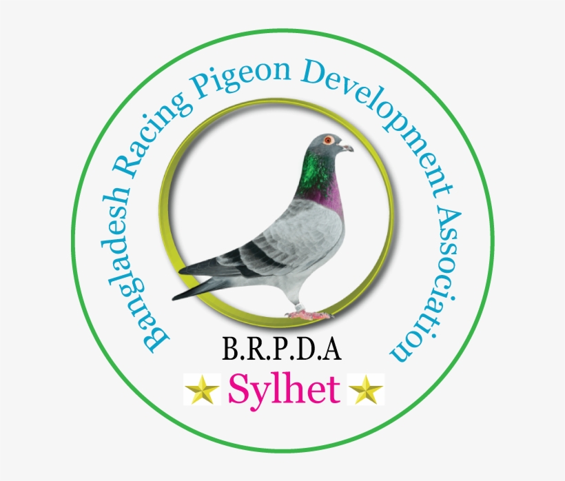 Brpda - Turkey, transparent png