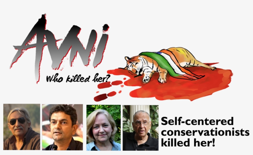 Anand Siva - Belinda Wright Save Tiger, transparent png