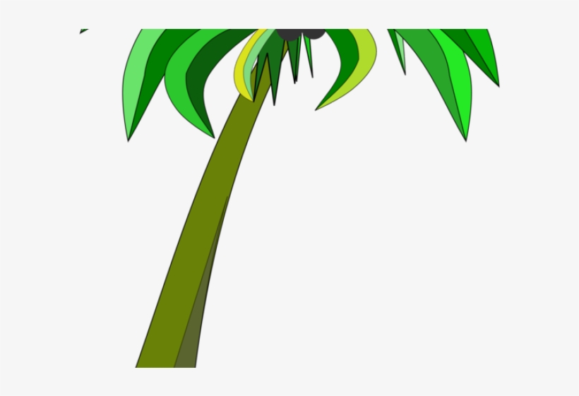 Plant Clipart Coconut Tree - Clip Art, transparent png