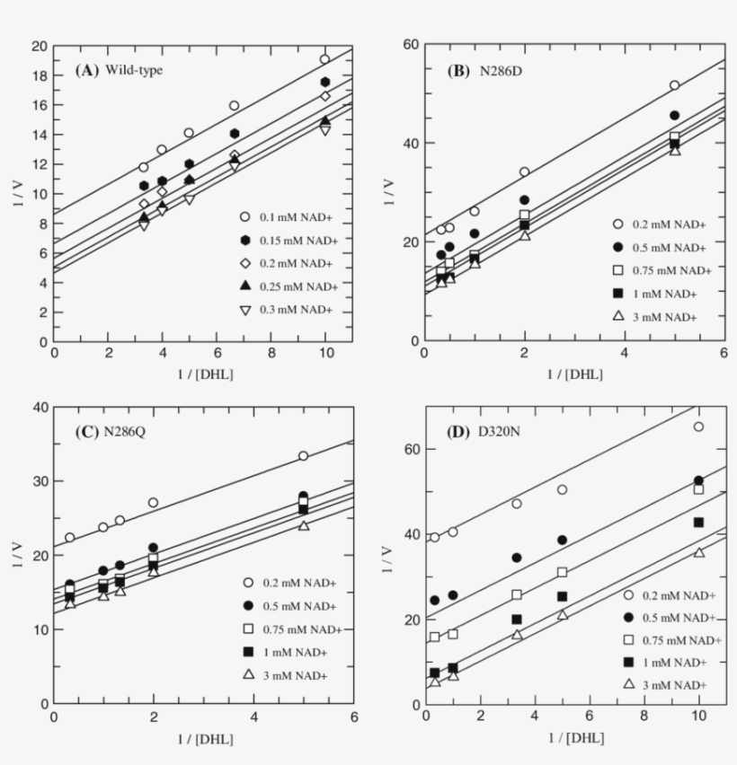 Double Reciprocal Plots For Initial Velocities For - Diagram, transparent png