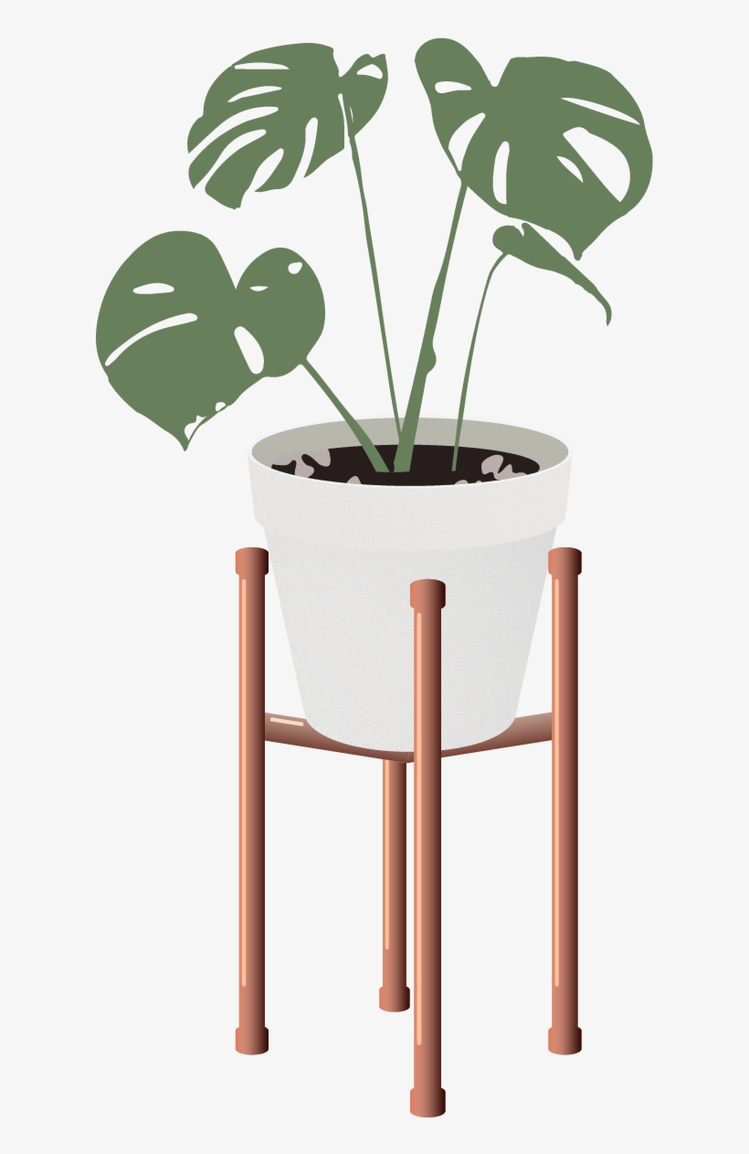 Vector Indoor Plants - Interior Design, transparent png