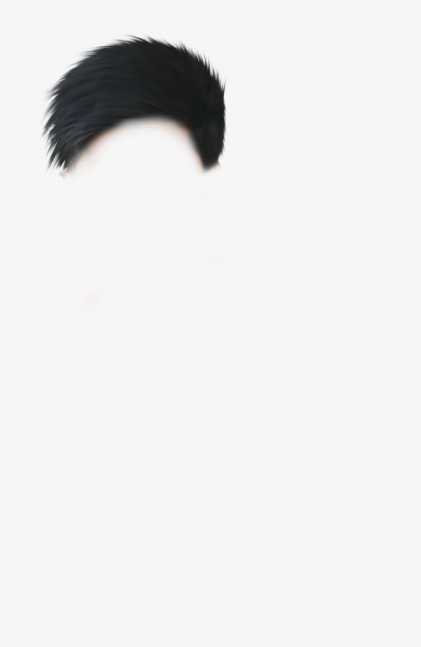 Hd Hair Png Download,picsartallpng - Pyrrharctia Isabella, transparent png