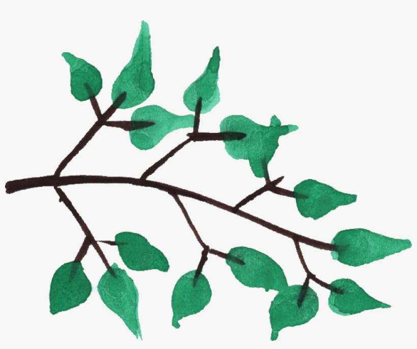 Free Png Download Watercolor Tree Branches Png Images - Watercolor Tree Branches Png, transparent png