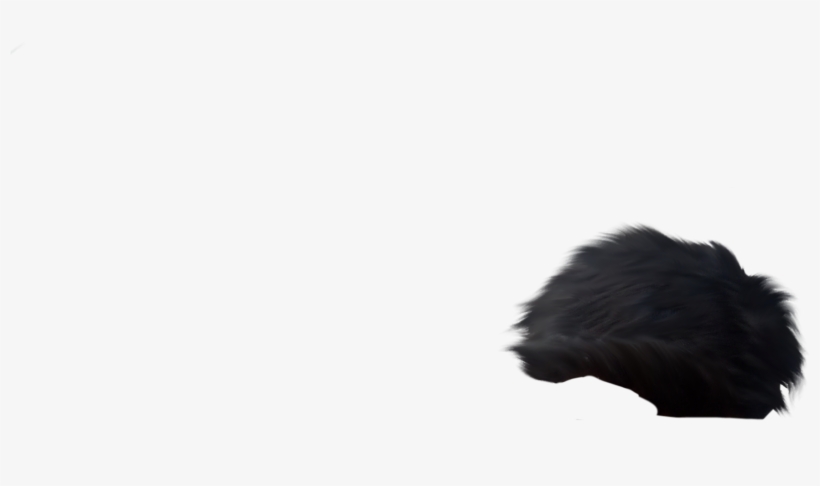 2) Hair Png - Silhouette, transparent png
