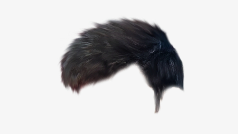 Hair Png The Water Manipulation Editing Background - Insect, transparent png