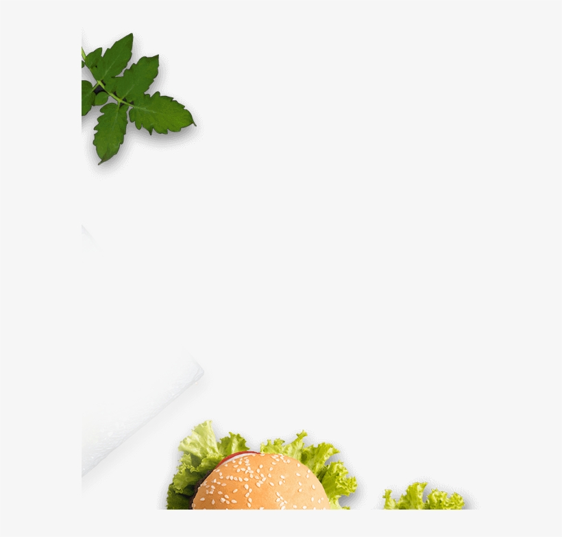 Timing - Cantaloupe, transparent png