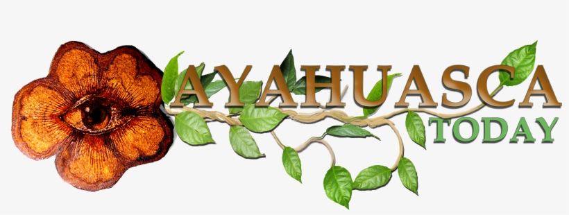 Ayahuasca Today Logo Large - Gourd, transparent png