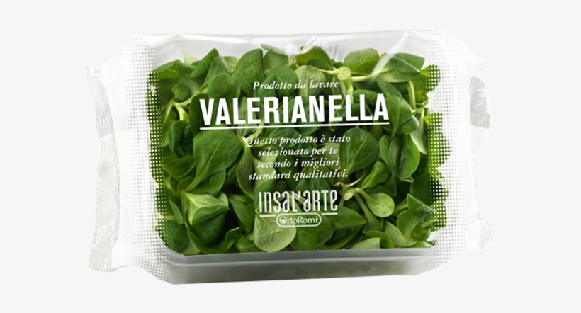 Spinach, transparent png