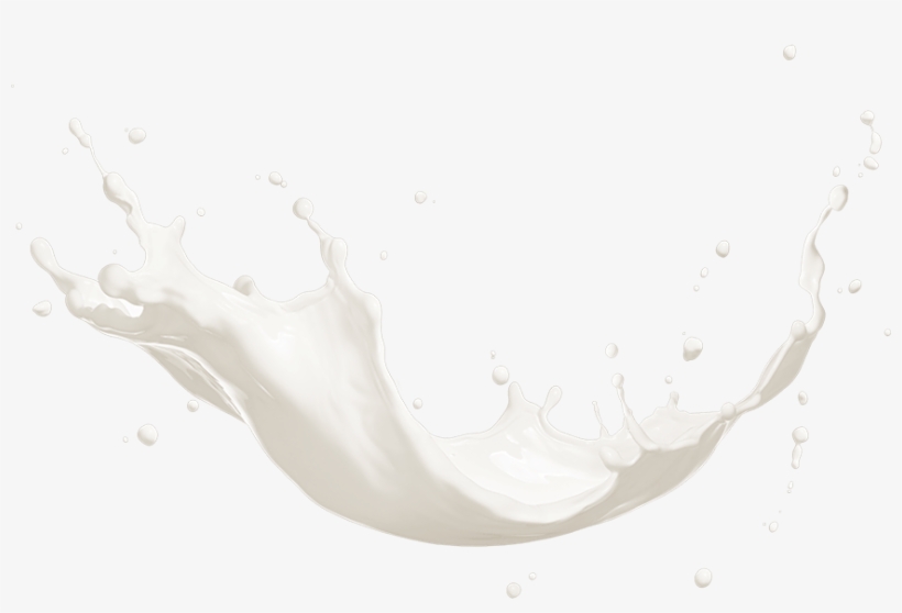 Chocolate Chips Chocolate Chip Chocolate Chip Blueberry - Got Milk Splash, transparent png
