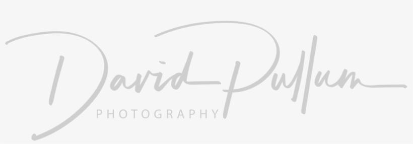 Somerset Cornwall Wedding Photographer Devon, Somerset - Calligraphy, transparent png