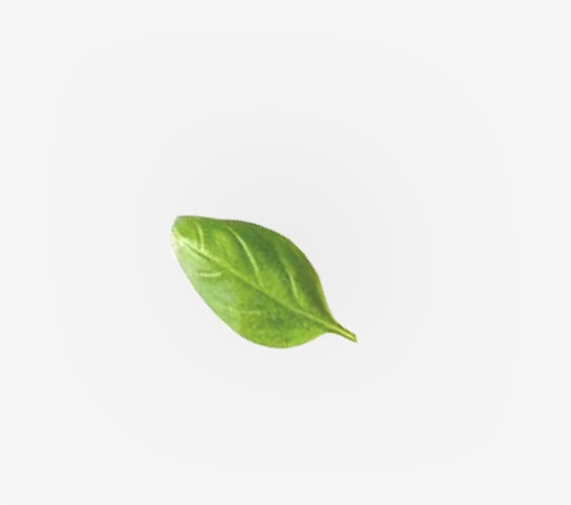What Do You Get - Buttonbush, transparent png