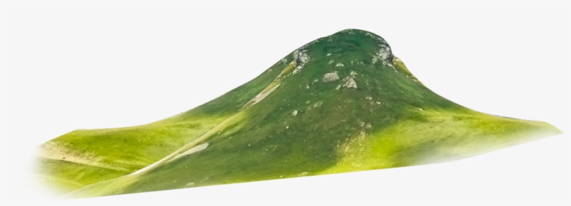 Nature Nature - Gourd, transparent png