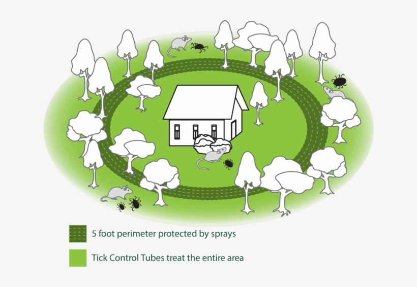 Upgrade Your Tick Control - Illustration, transparent png