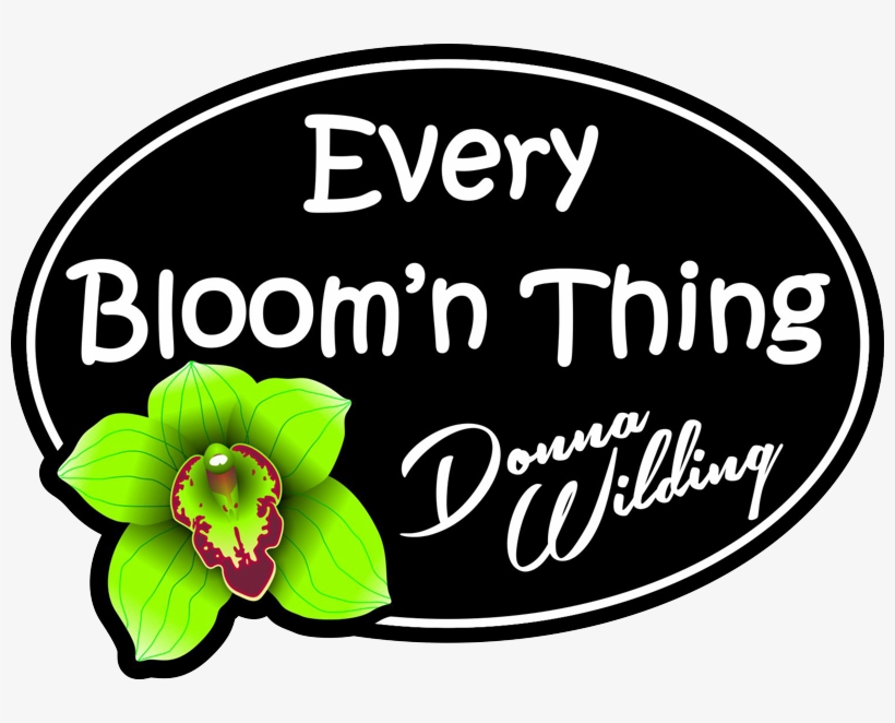 Moth Orchid, transparent png