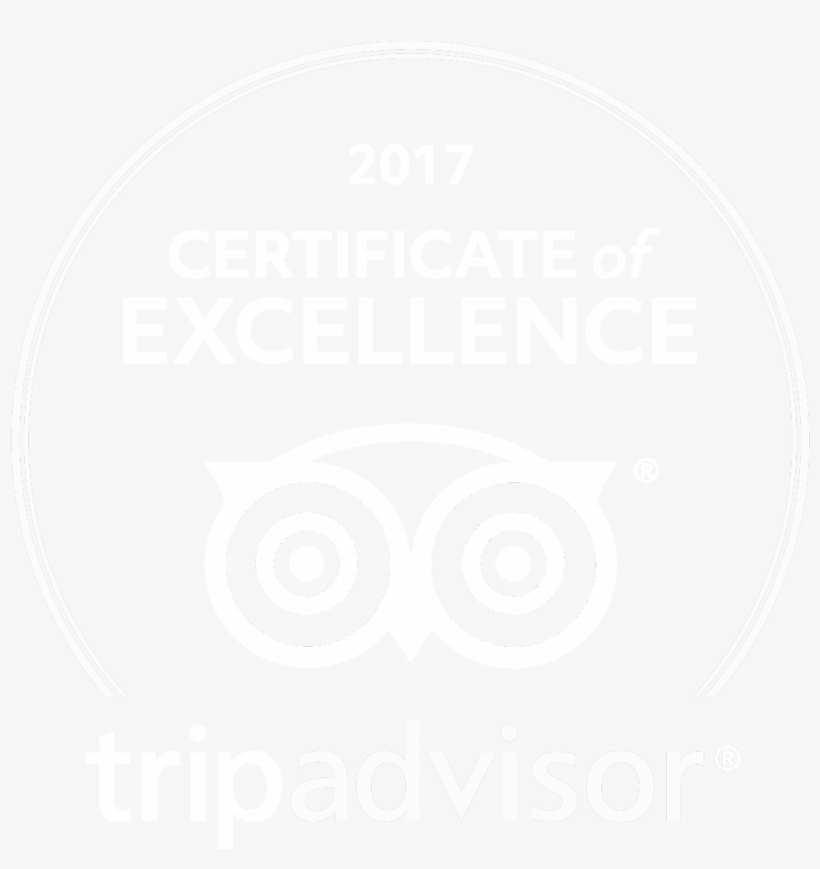 Galería - Certificate Of Excellence Logo 2018, transparent png