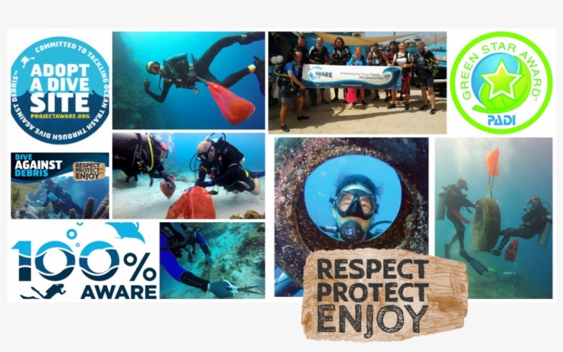 Join In The Dive Bus Monthly Project Aware Adopt A - Project Aware, transparent png