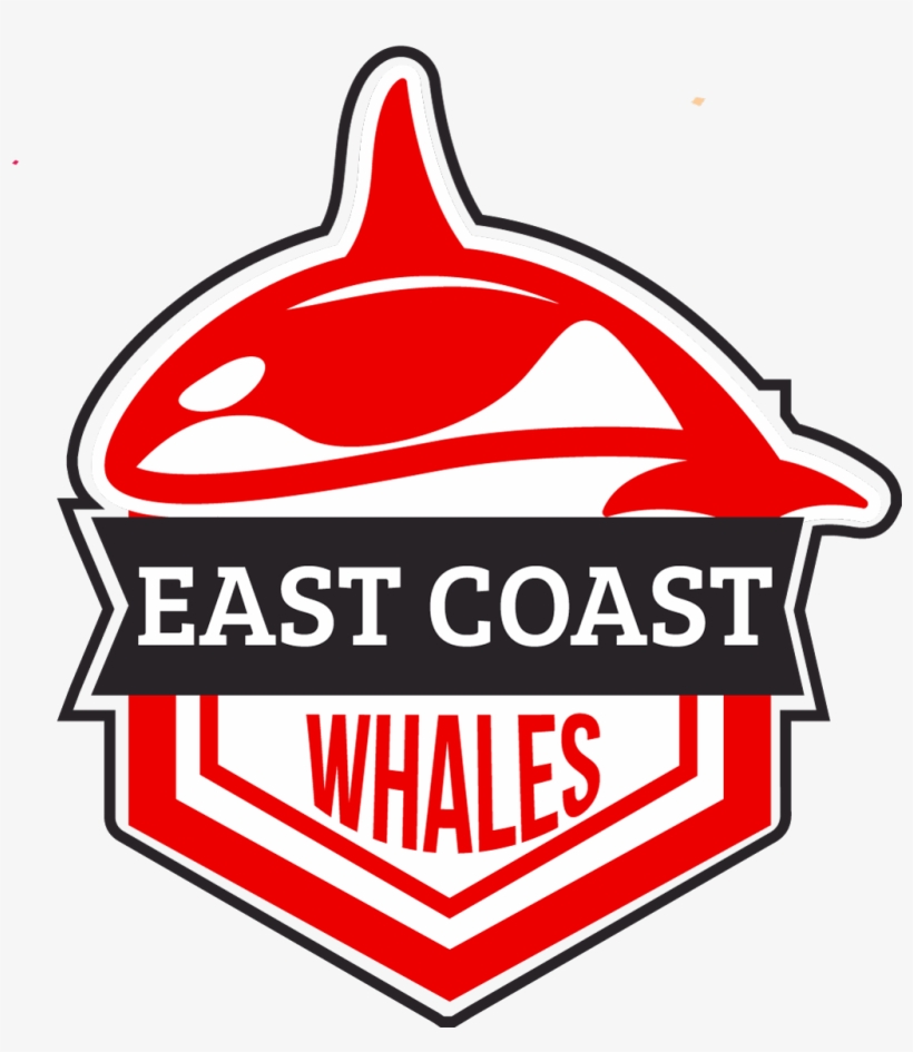 Team Owner - Ziad Abbas - Kids Store, transparent png