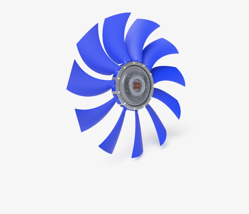 S16h - Circle, transparent png