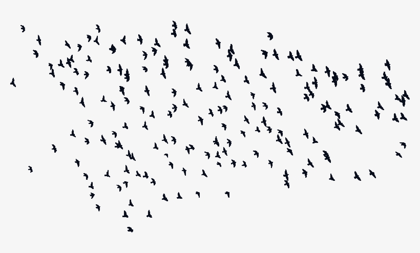 Input Flock Of Birds Silhouette, transparent png