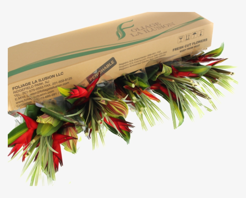 Ready To Place An Order - Christmas Decoration, transparent png