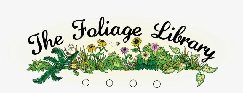 Adore Beauty, transparent png