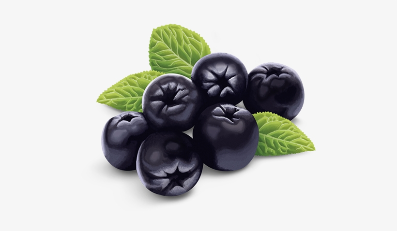 Bilberry, transparent png